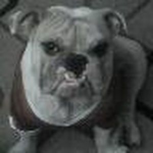 Meet your Posher, Raymond